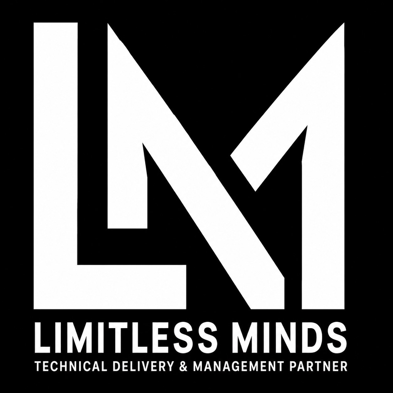 LIMITLESS MINDS SPÓŁKA Z OGRANICZONĄ ODPOWIEDZIALNOŚCIĄ